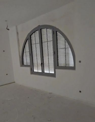 photo no. 7