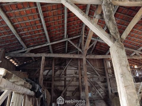 photo no. 13