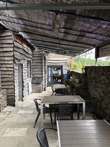 photo no. 14