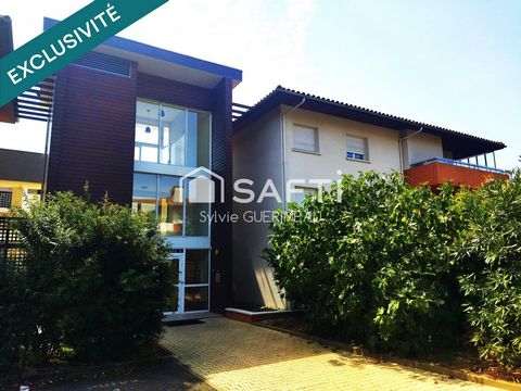 photo no. 13