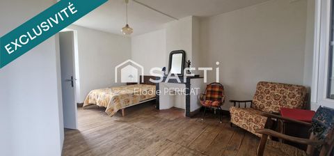 photo no. 6