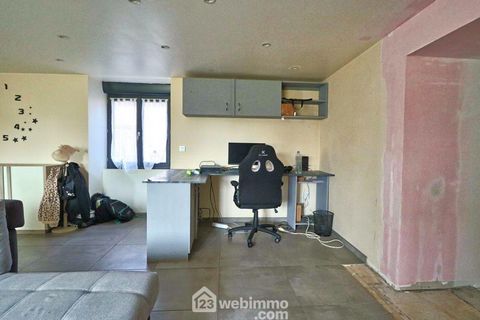photo no. 11