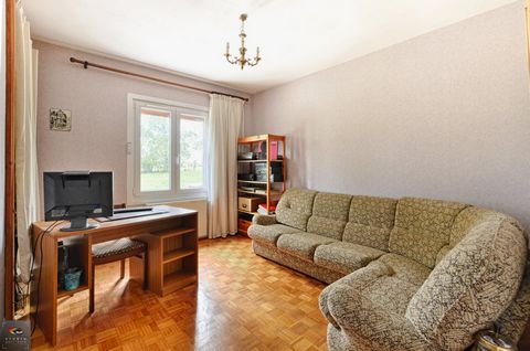 photo no. 8
