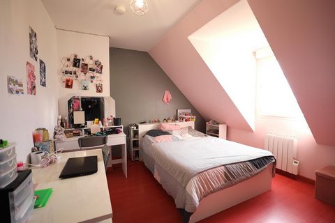 photo no. 8