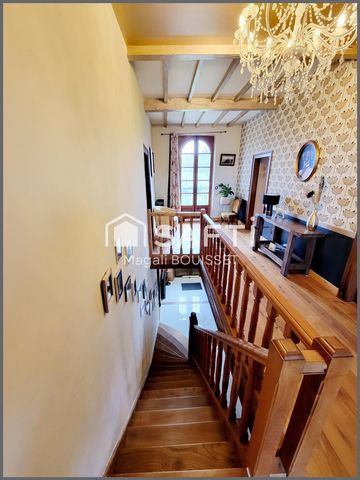 photo no. 15