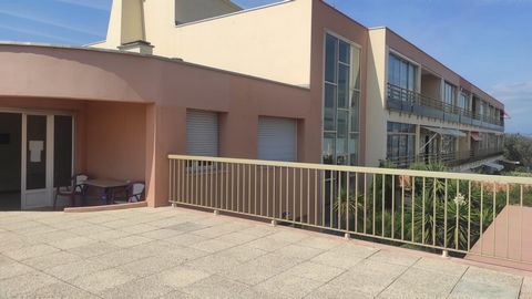 photo no. 11
