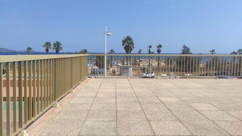 photo no. 12