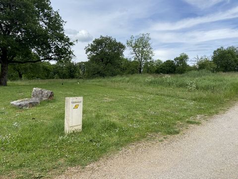 photo no. 2