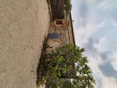 photo no. 1