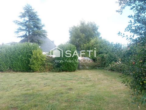 photo no. 10