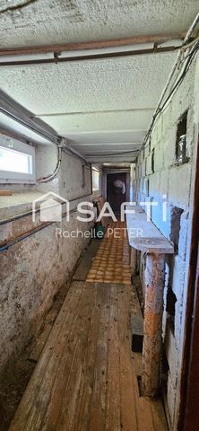 photo no. 14
