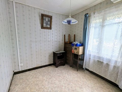 photo no. 6