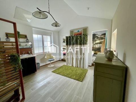 photo no. 6