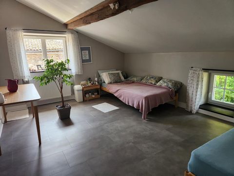 photo no. 13