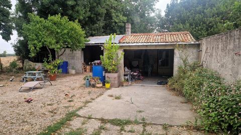 photo no. 5