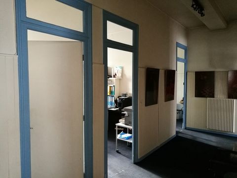 photo no. 6