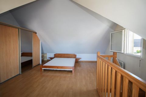 photo no. 12