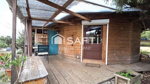 photo no. 17