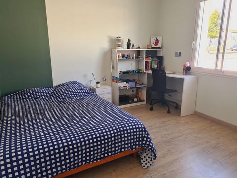 photo no. 11