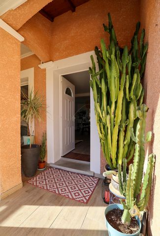 photo no. 11