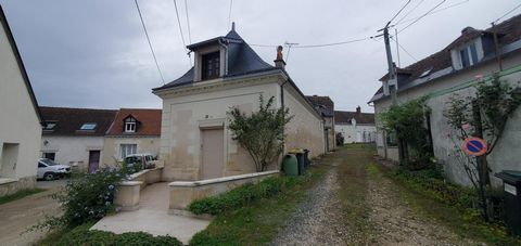 photo no. 5