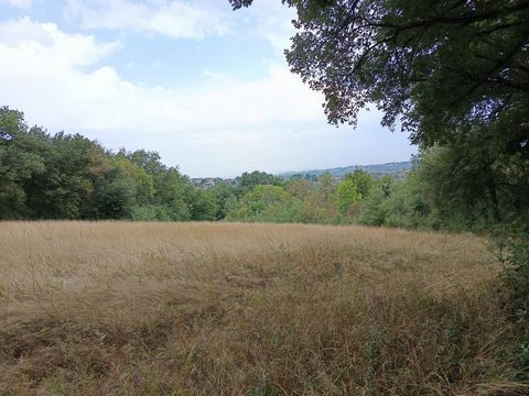 photo no. 11