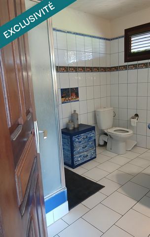 photo no. 13