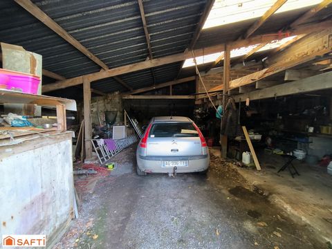 photo no. 12