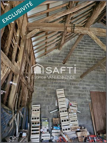 photo no. 10
