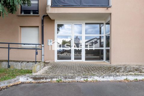photo no. 9