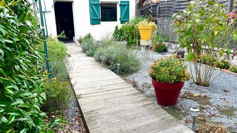 photo no. 5
