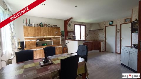 photo no. 4