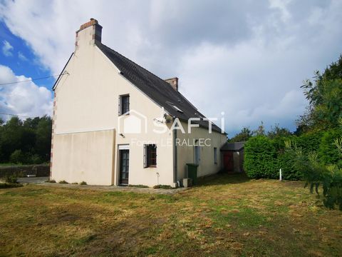 photo no. 14