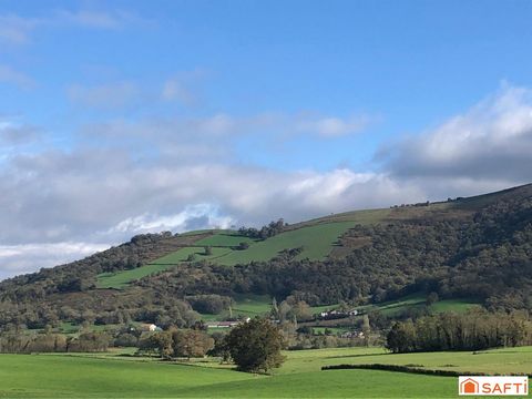 photo no. 4