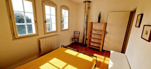 photo no. 12