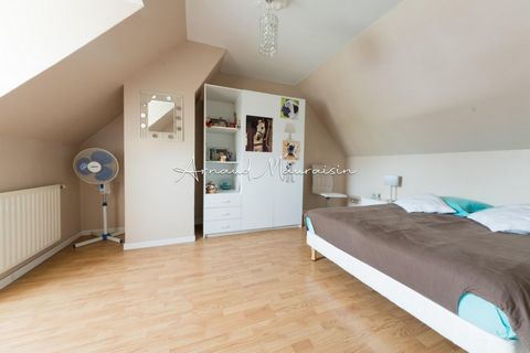 photo no. 11