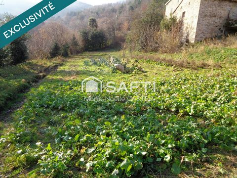 photo no. 14