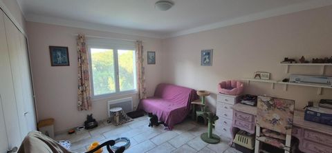 photo no. 9