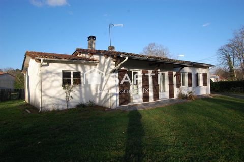 photo no. 1