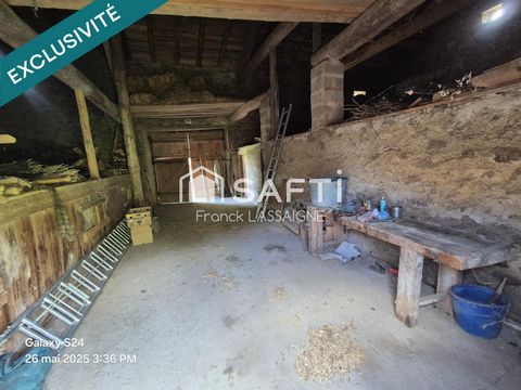 photo no. 11
