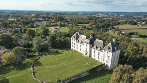 Château féodal au coeur des Landes sur 3,5 hectares