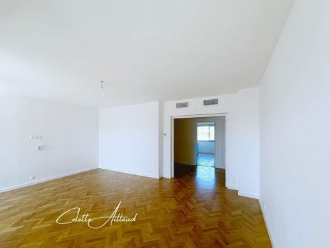 photo no. 5
