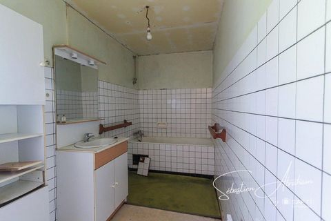 photo no. 6
