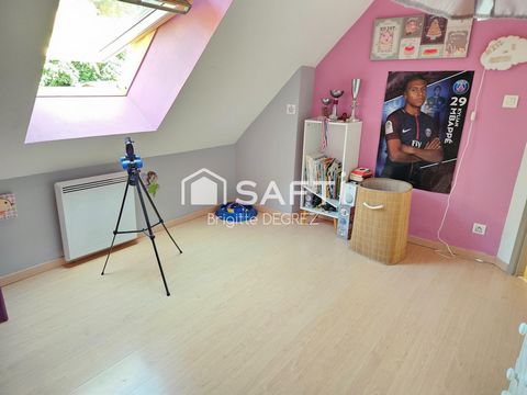 photo no. 11