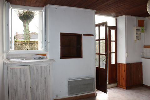 photo no. 7