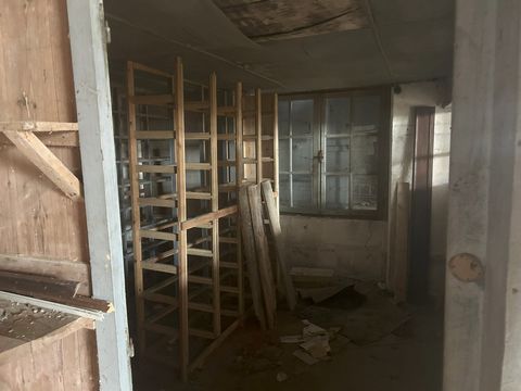photo no. 9
