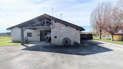 photo no. 2