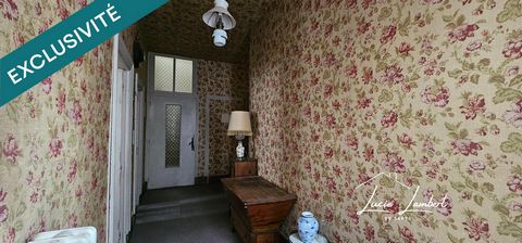 photo no. 19