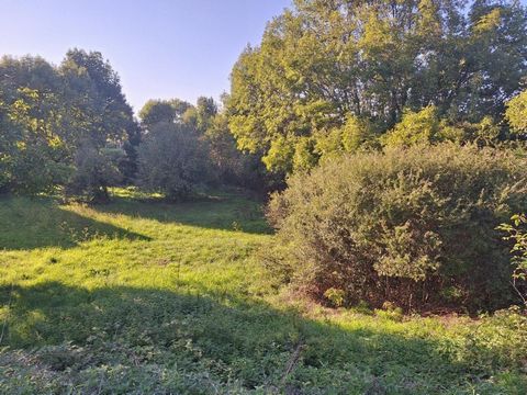 photo no. 16