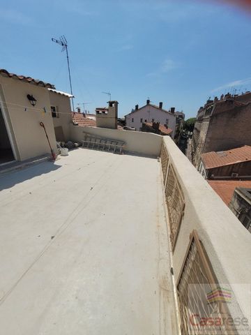 photo no. 2
